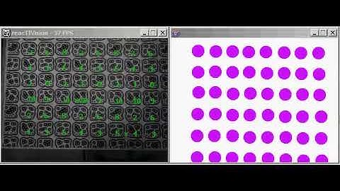 reactivision and processing