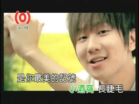 【經典老歌】林俊傑&蔡卓妍 - 小酒窩（KTV歌詞版）