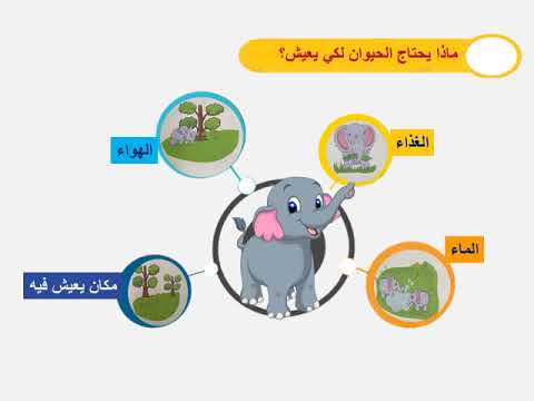 أماكن العيش المختلفة