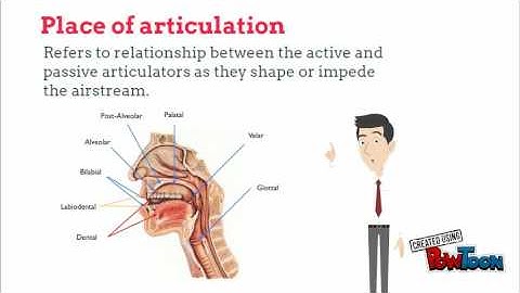 The sounds of languages | Chapter 3 | Linguistics