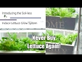 Never Buy Lettuce Again - The Indoor Soil-less Lettuce Grow System, DIY Clean & Easy! 4K