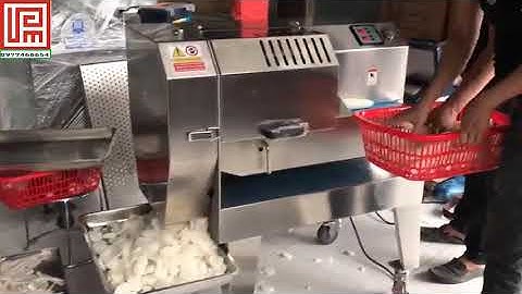 Máy thái khoanh, máy cắt băng tải