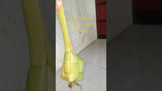 Download Lagu cara bikin ketupat lebaran. video lengkap udah upload🥰. #ketupatlebaran MP3
