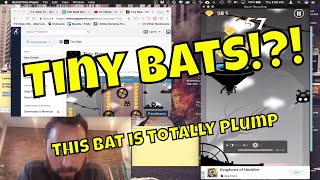 Tiny Bats Buildbox 2 Game Review 077 screenshot 5