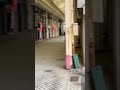 #arcade #cat in #tobata #kitakyushu #北九州 #neko #猫　#ネコ　🐈　#market  #アーケード