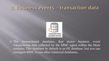 MULE MANAGEMENT CONSOLE Satya