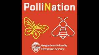 280 - Buzzing with Innovation | PolliNation