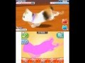 「かわいい子猫3D」サンプル動画
