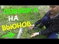 Уловистая ловушка на вьюна за 3 минуты