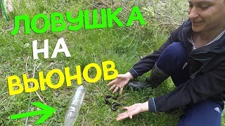 Уловистая ловушка на вьюна за 3 минуты