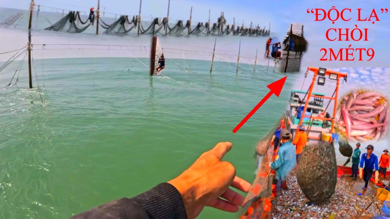 TRẢI NGHIỆM ĐÁY CHÒI “2m9” NGOÀI KHƠI | NGƯ DÂN ĐÁNH BẮT “4-50 TRIỆU “MỖI NGÀY LÀ CHUYỆN BÌNH THƯỜNG