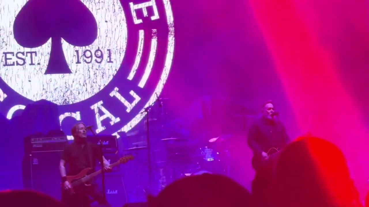 Face To Face - No Authority (Punk In The Park)