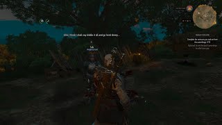 The Witcher 3: Knight errant in distress (2 of 3)