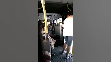 автобус гармошка разорвался пополам на ходу