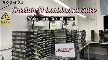 Cheetah F1 hashboard appearance video ,  hashrate:24th, Output:0.00010776 BTC /day, power : 2100w