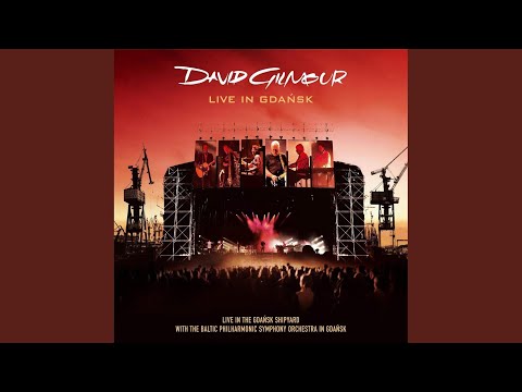 Shine On You Crazy Diamond (Live In Gdansk)