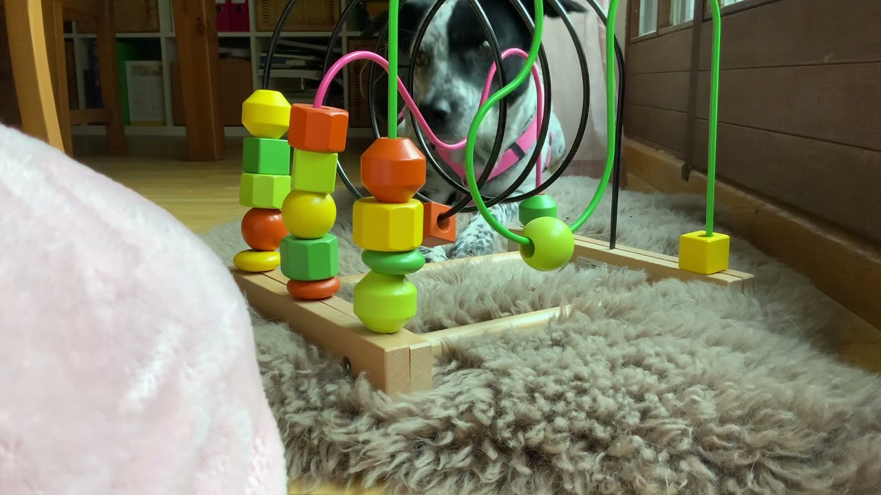 Indoor-Beschäftigung mit Punkti