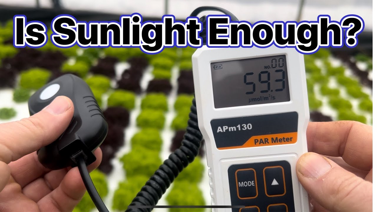 Winter Greenhouse: Testing Sunlight & Surviving the Cold!