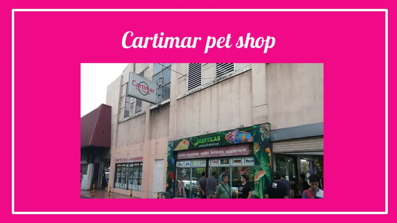 Cartimar Pet Shop Pasay City YouTube cartimar-pet-shop-pasay-city-youtube