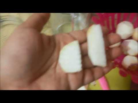 Egyptian pickled turnip
