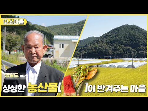 新우문현답 | 410회. 득과 실 | 경남 의령군 부림면 오소마을 (KBS 2024.10.23. 수 방송)