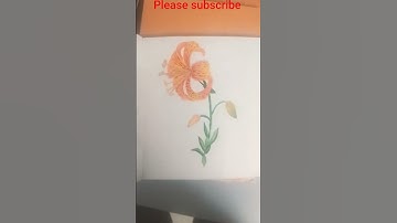 tiger Lily #art #drawing #flowers #watercolor #nature