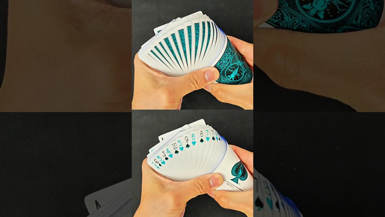 Experience Immersive