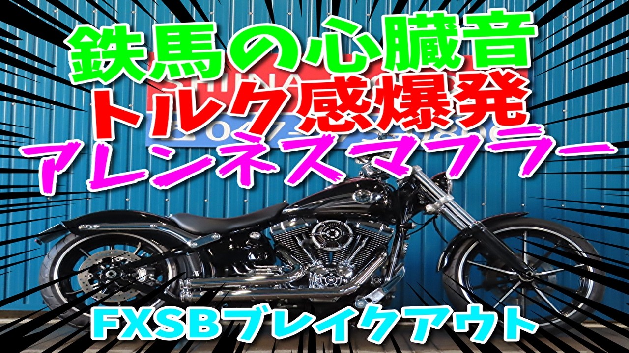 □Shiina Motors Ichikawa Store - Out-of-Print Collection□ HARLEY