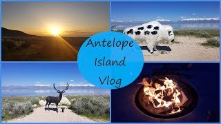 Antelope Island Vlog