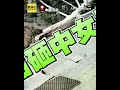 中國颳10級恐怖狂風！巨樹「連根拔起」險砸女子驚險畫面曝 #shorts