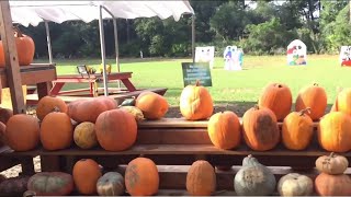Jax Best Pumpkin patch and seasonal beer | River City Live