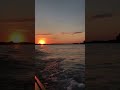 What do you think? 🤔 #summervibes #nostalgic #chillmusic #sunset #tropicalhouse