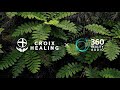Relax world time to awaken x 360 reality audio  4k special healing music