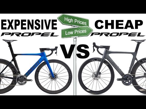 EXPENSIVE Giant Propel VS CHEAP Giant Propel