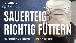 Roggen-Vollkorn-Sauerteig Richtig Füttern