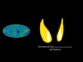 The Scale Beyond the Universe (our first comparison video)