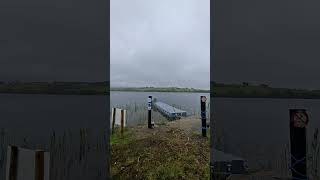 #swallowbird playing over the #lakeside #irishtourism #ireland