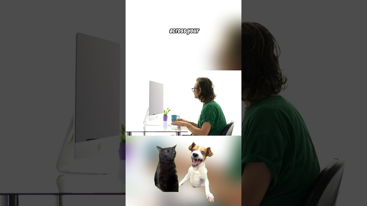 Why Do Shopify Stores Get Shut Down? Here’s How to Stay Safe!