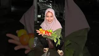 Meleles At Night Can Get Lots Of Bets short