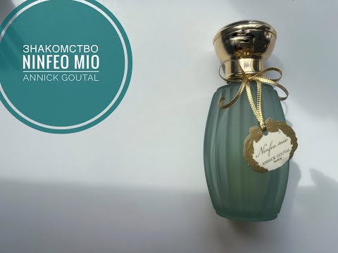 ЗНАКОМСТВО | Ninfeo