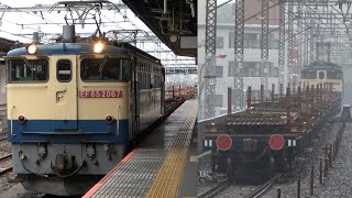 2022/05/01 【レール輸送】 JR貨物 EF65 2067 大宮駅 & 武蔵浦和駅 | JR Freight: Delivery of Rails