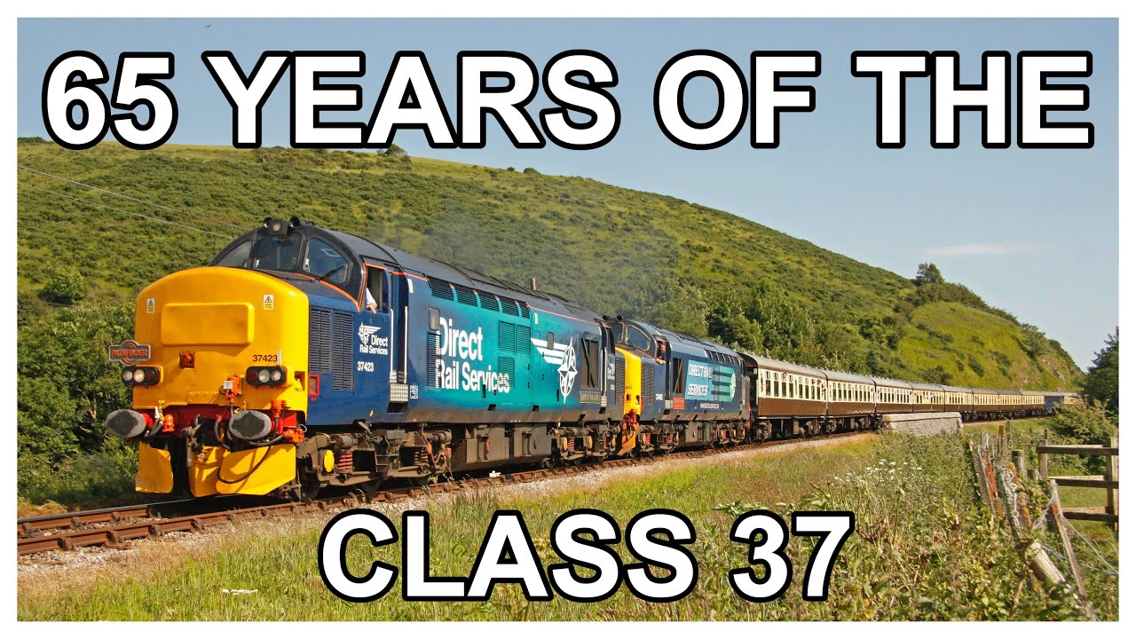 65 YEARS OF THE CLASS 37! My collection from 2009 - 2025.