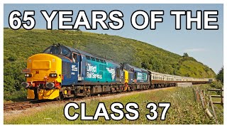 65 YEARS OF THE CLASS 37! My collection from 2009 - 2025.