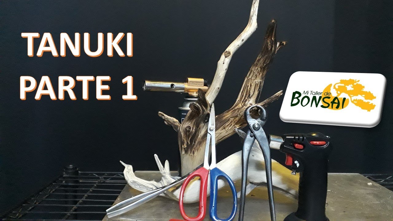 HAGAMOS UN TANUKI PARTE 1