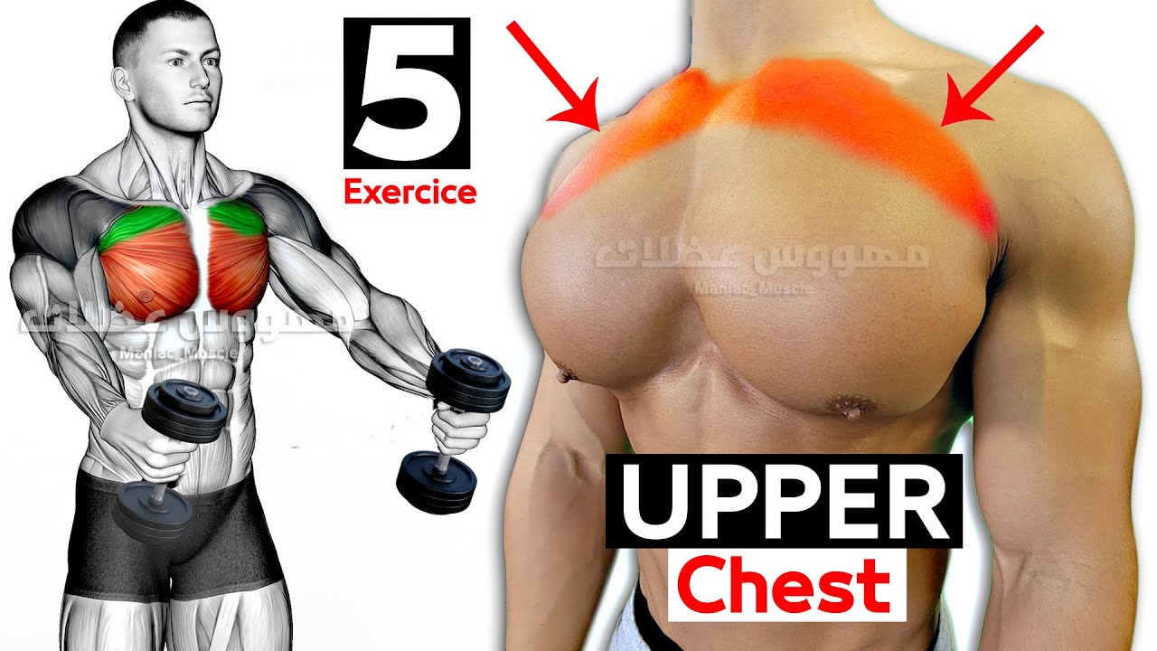 How To Grow Your Upper Chest Workout - @مهووس عضلات /كمال الأجسام