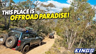 4WDING THE WILD NSW SNOWY MOUNTAINS! Incredible campsites - breathtaking views! 4WD Action # 194