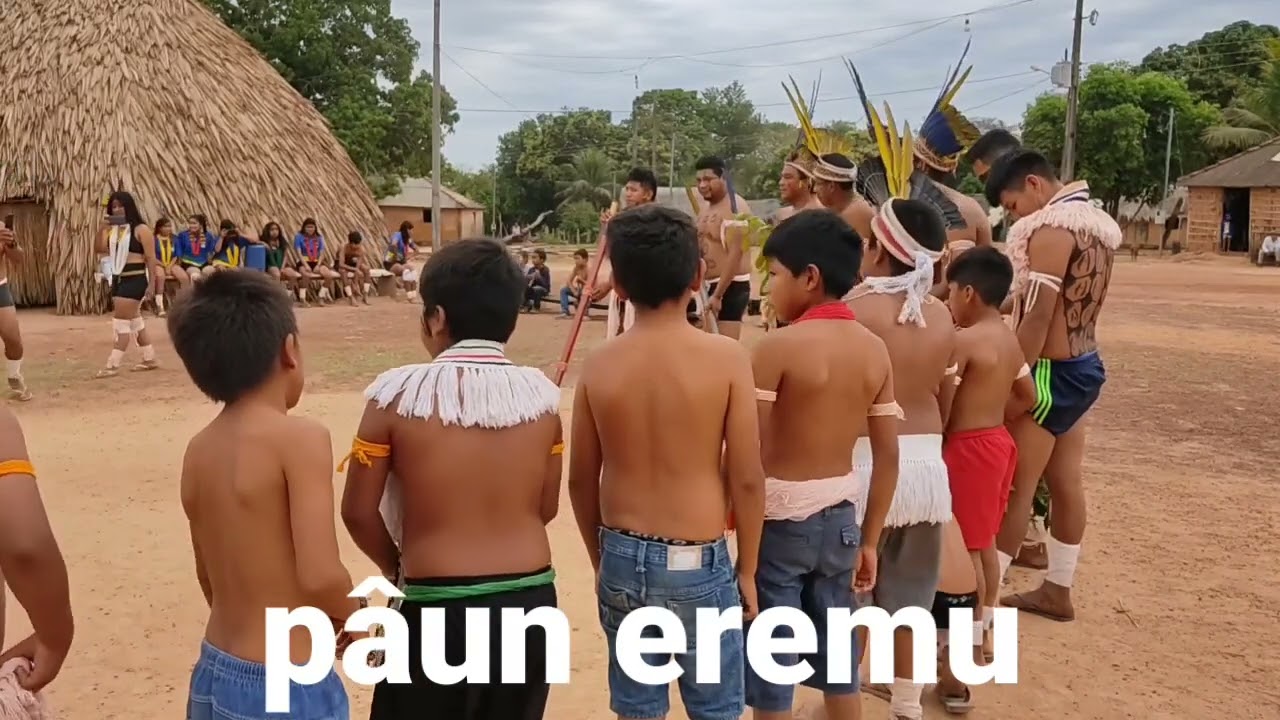 pâun eremu na aldeia Pakuera MT Brasil 2022