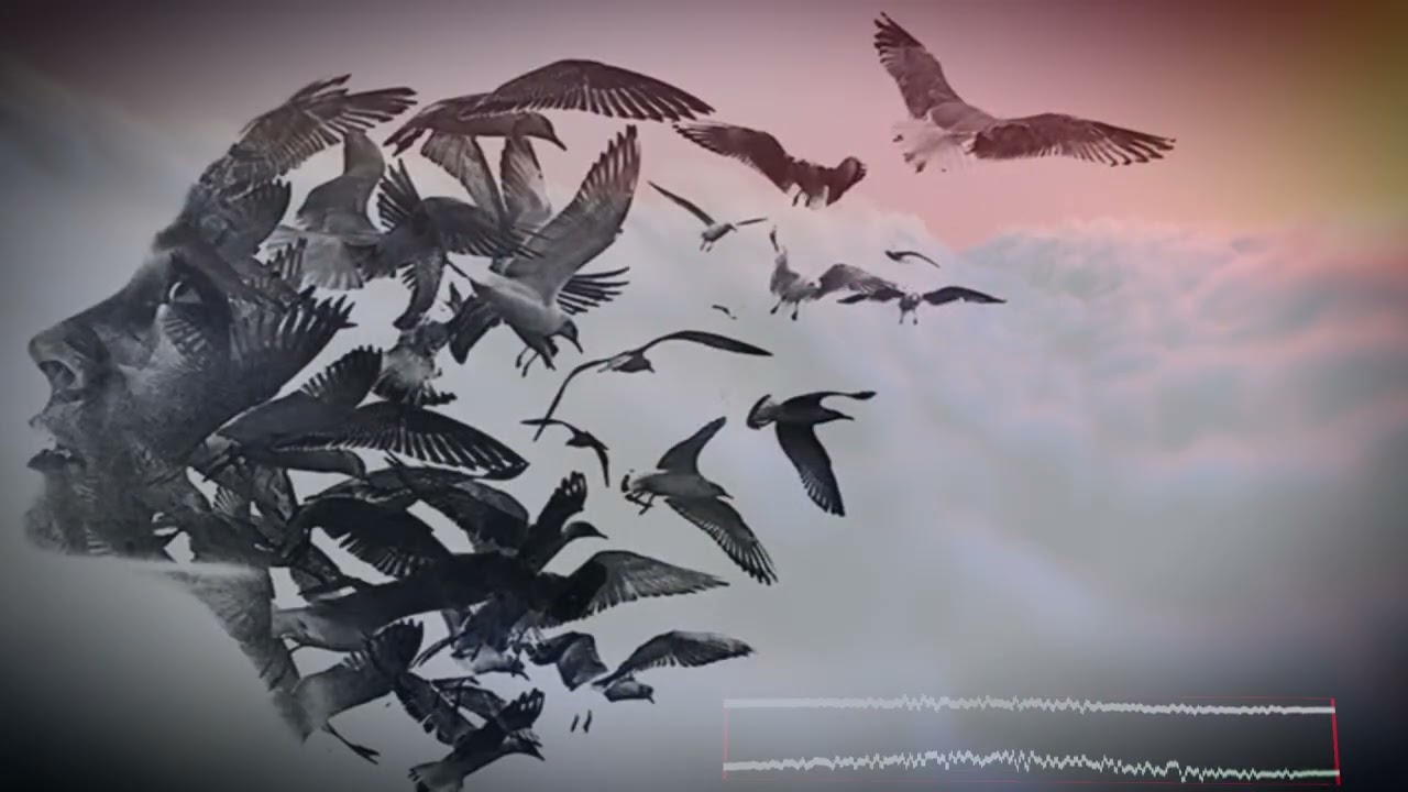 KEHROS-Still it born_ (Emotional Melodic Techno with Female Vocal)