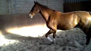 VID-20110520-00011
