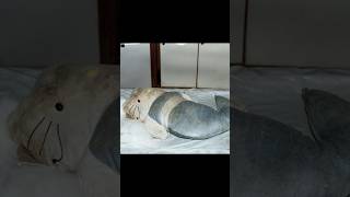 Celebrity the hello kitty murder case #edit #trend  #scary #explore #horrorstories Profile
